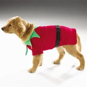 Elf suite for dogs